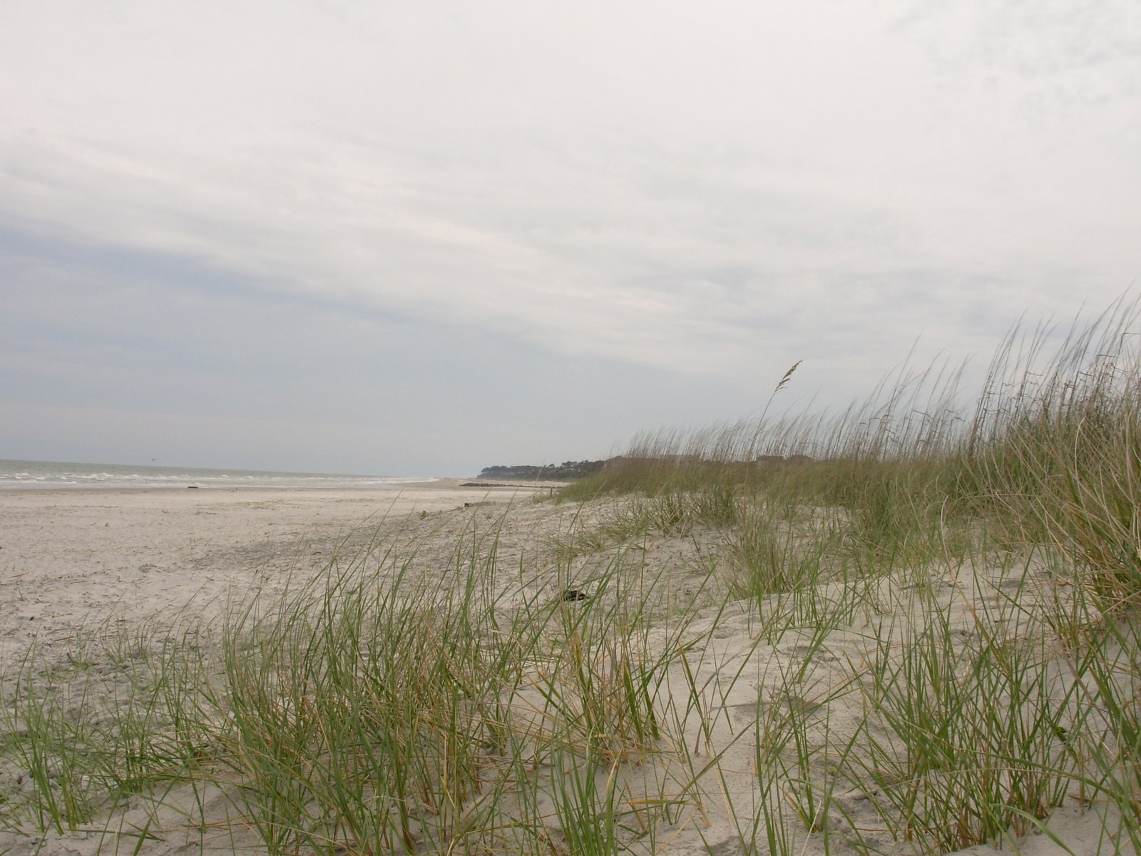 grassy, sandy beach with white sand and grey skies