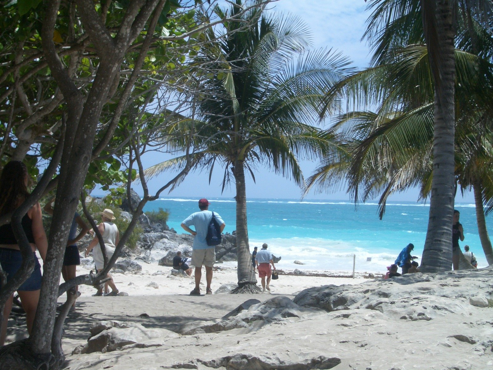 a group of people on the beach next to a palm tree