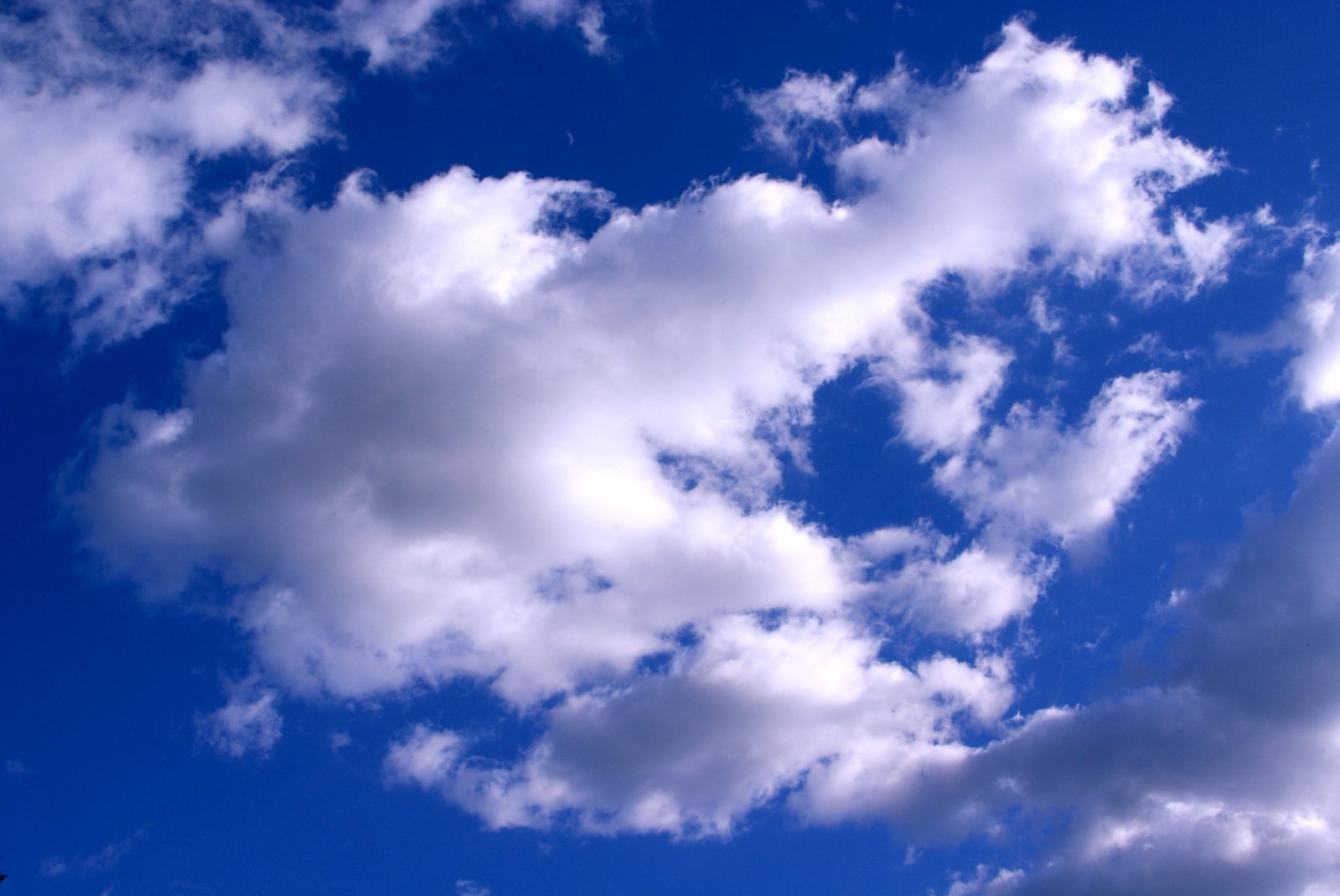 white fluffy clouds in the blue sky