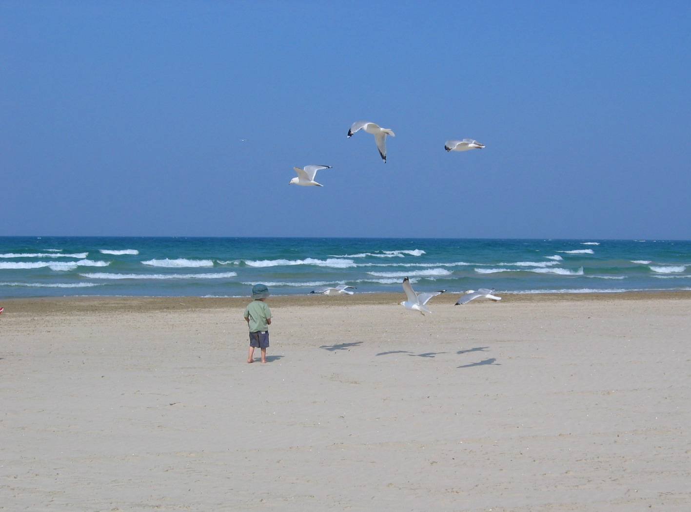 a man that is standing in the sand with seagulls