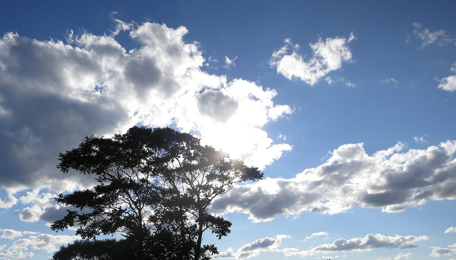 sun peeking through the clouds over trees