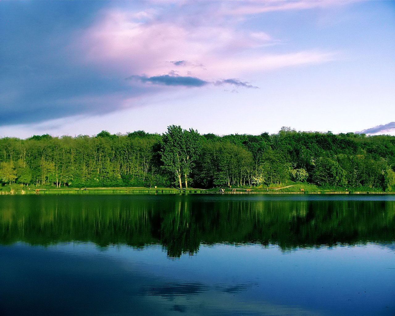 the calm blue lake is reflecting the green trees