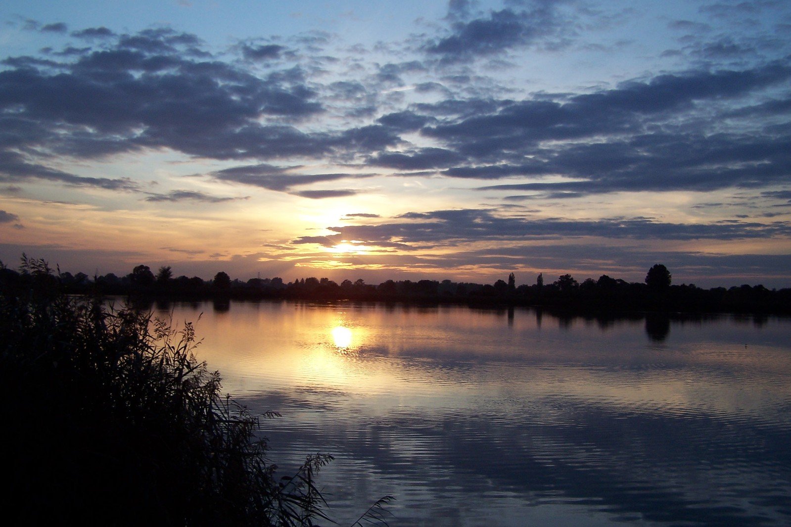 a lake with grass and trees at sunset