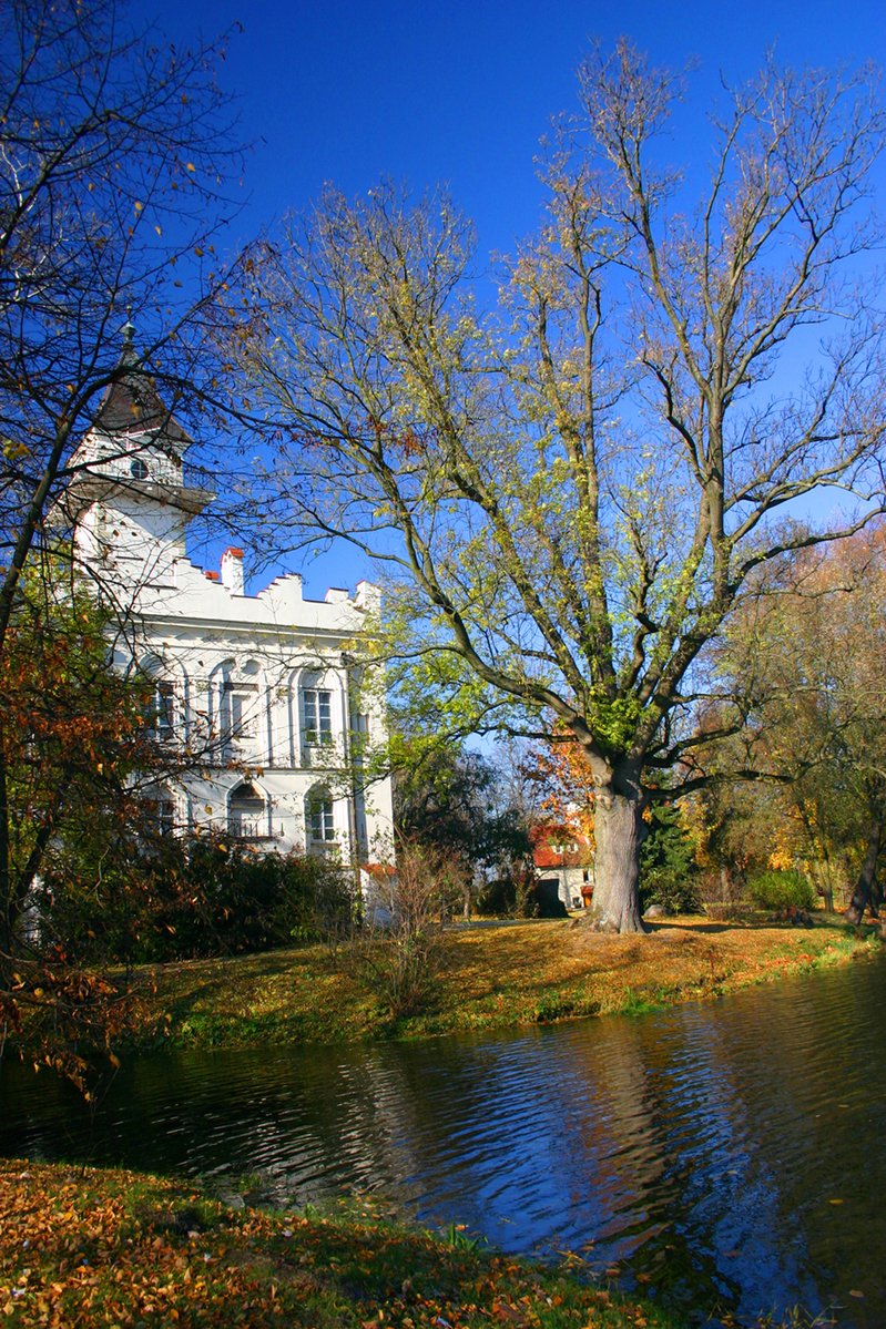 a pond in front of a large white building surrounded by trees