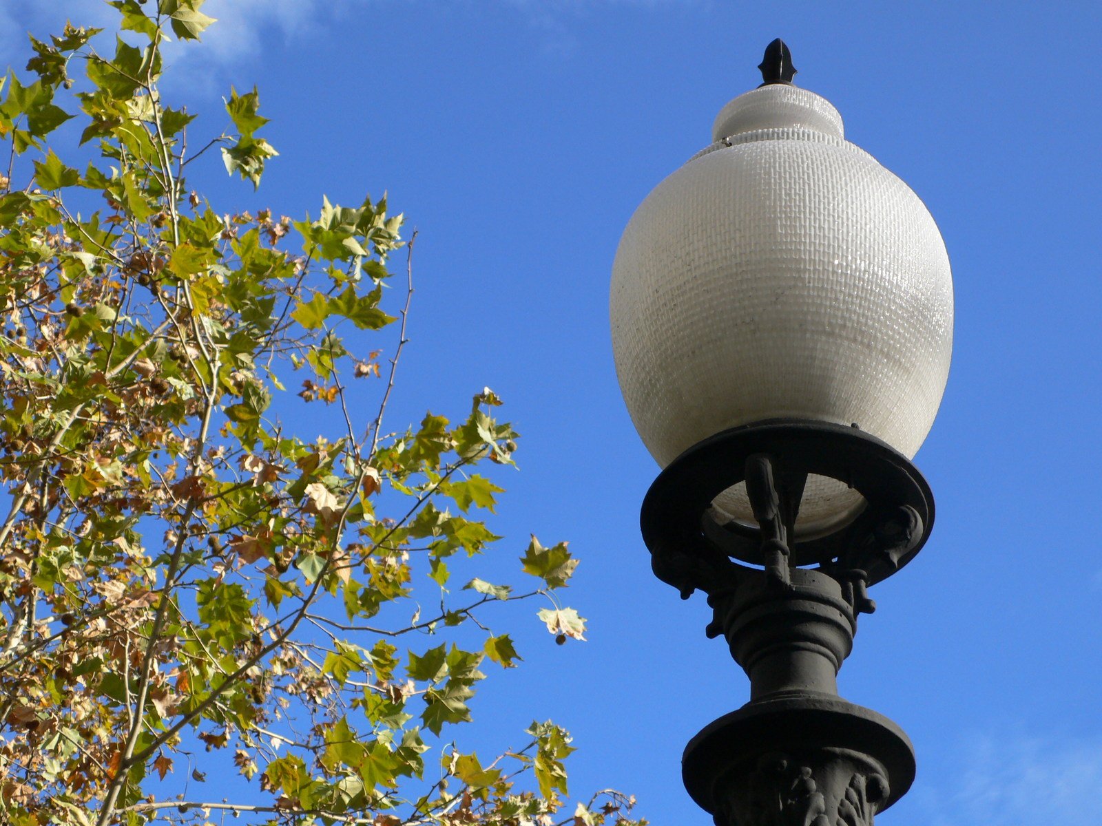 a light that is on top of a pole