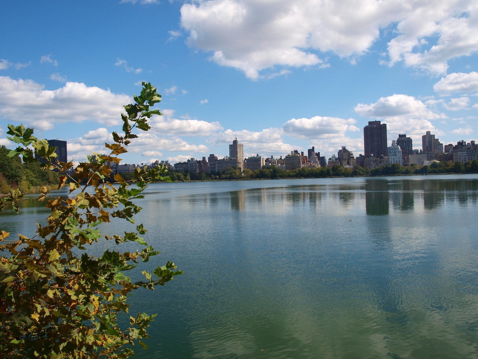 a view of a body of water, with trees, buildings and clouds in the distance