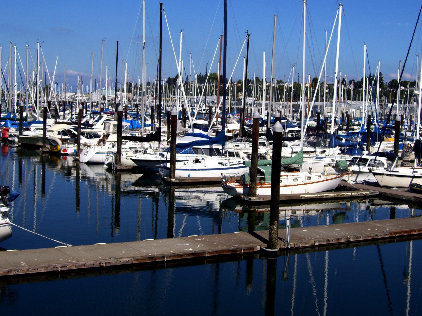 a harbor filled with many boats and small white boats