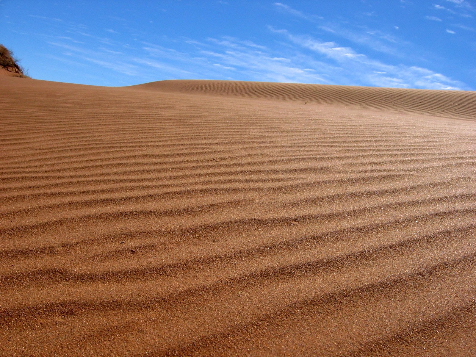 the view from the top of a sand dune