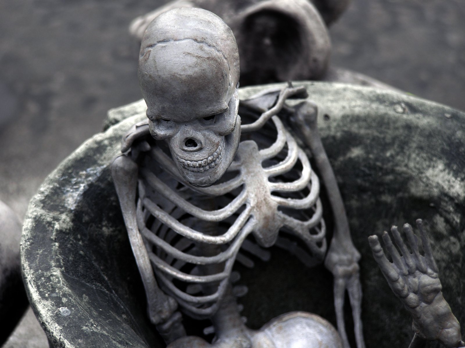 a miniature skeleton in a grey bowl on the ground