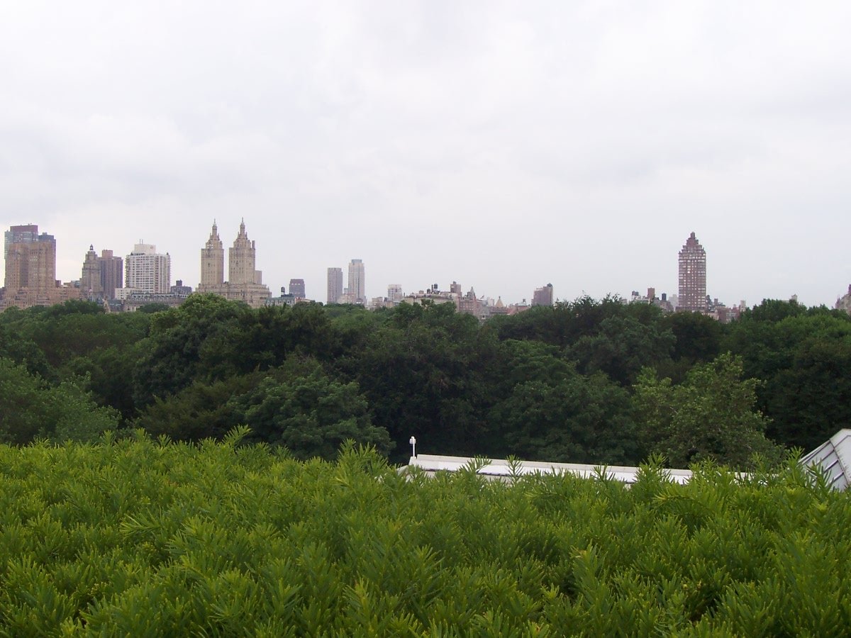 the cityscape is near tall buildings on the other side of the trees