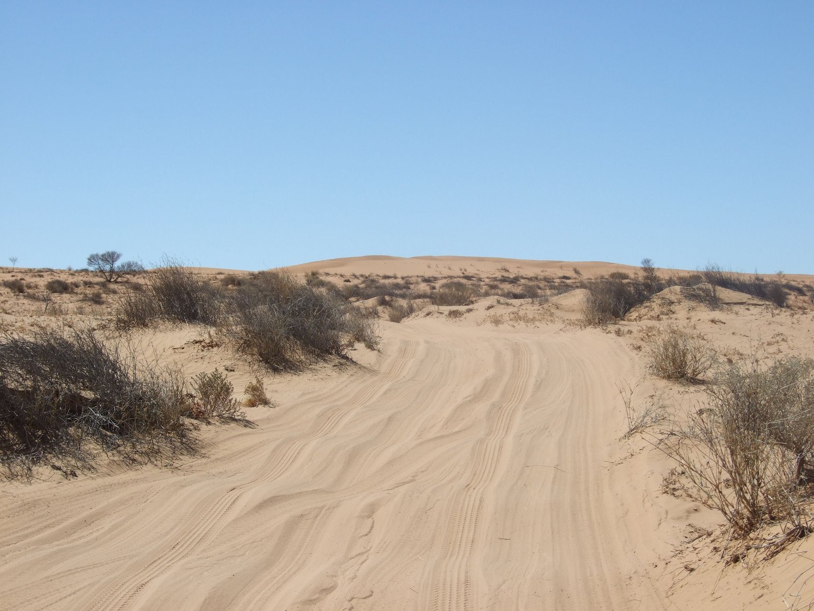 a dirt road runs in the desert