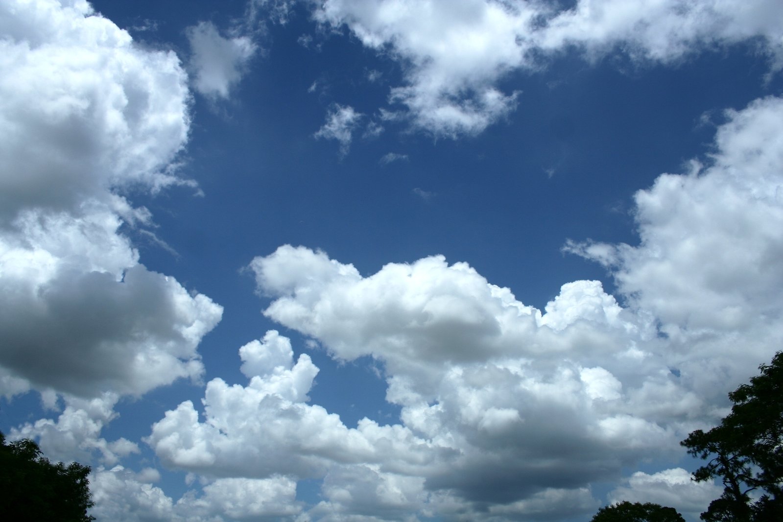 many clouds are visible in the blue sky