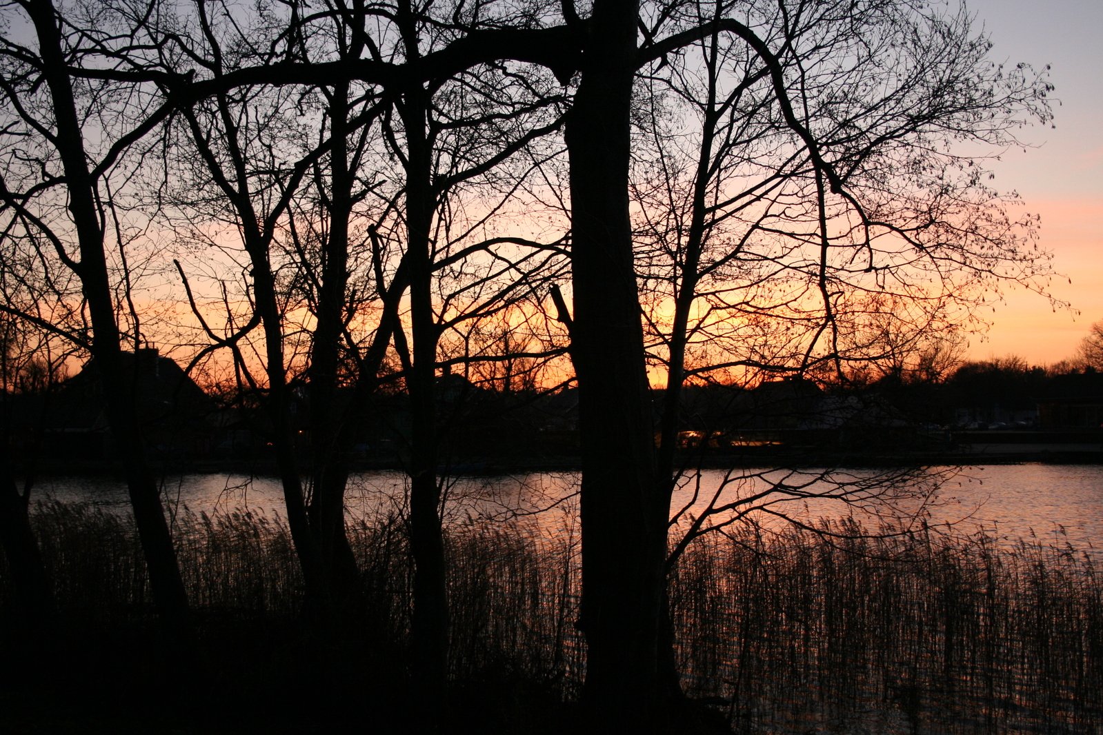 the setting sun over a lake behind some trees