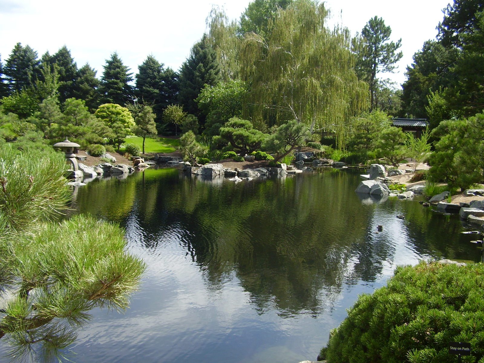 a large pond surrounded by some rocks and trees