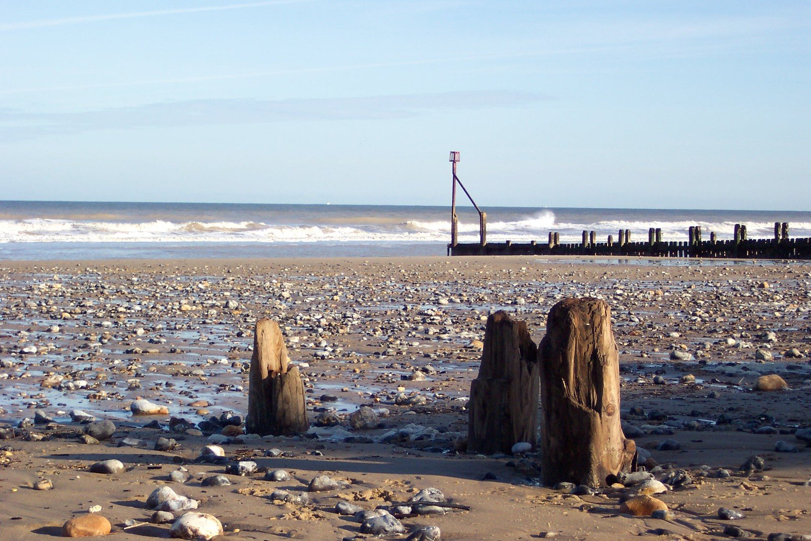 two stumps are lying on the ground near the ocean