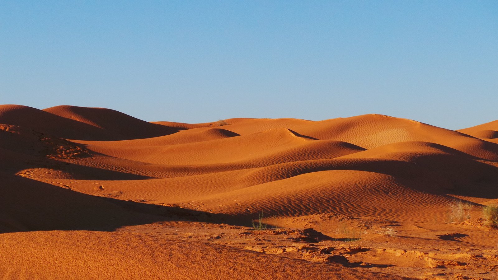 several different areas of the desert with some rocks and dirt