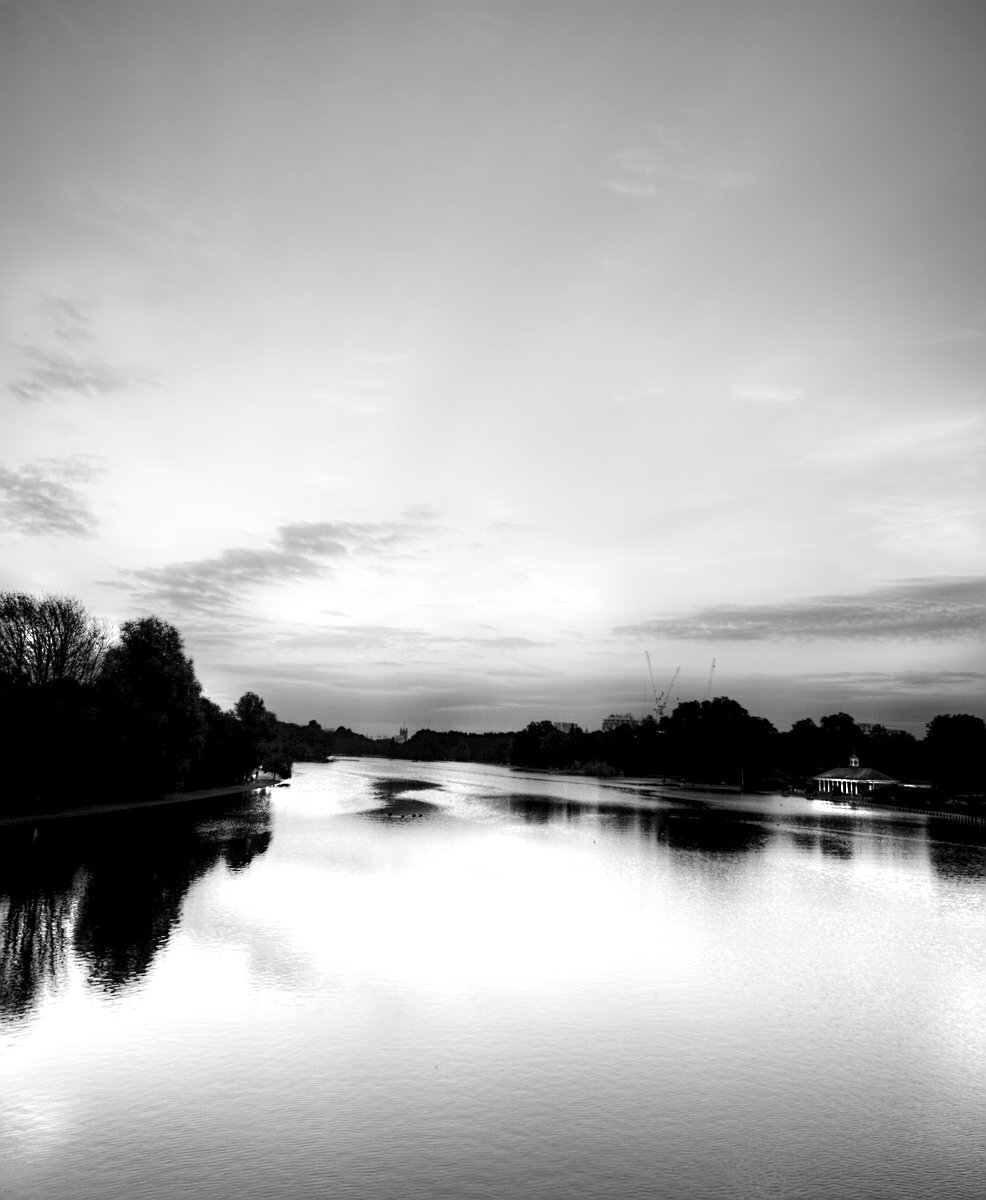 a black and white pograph of the water and trees
