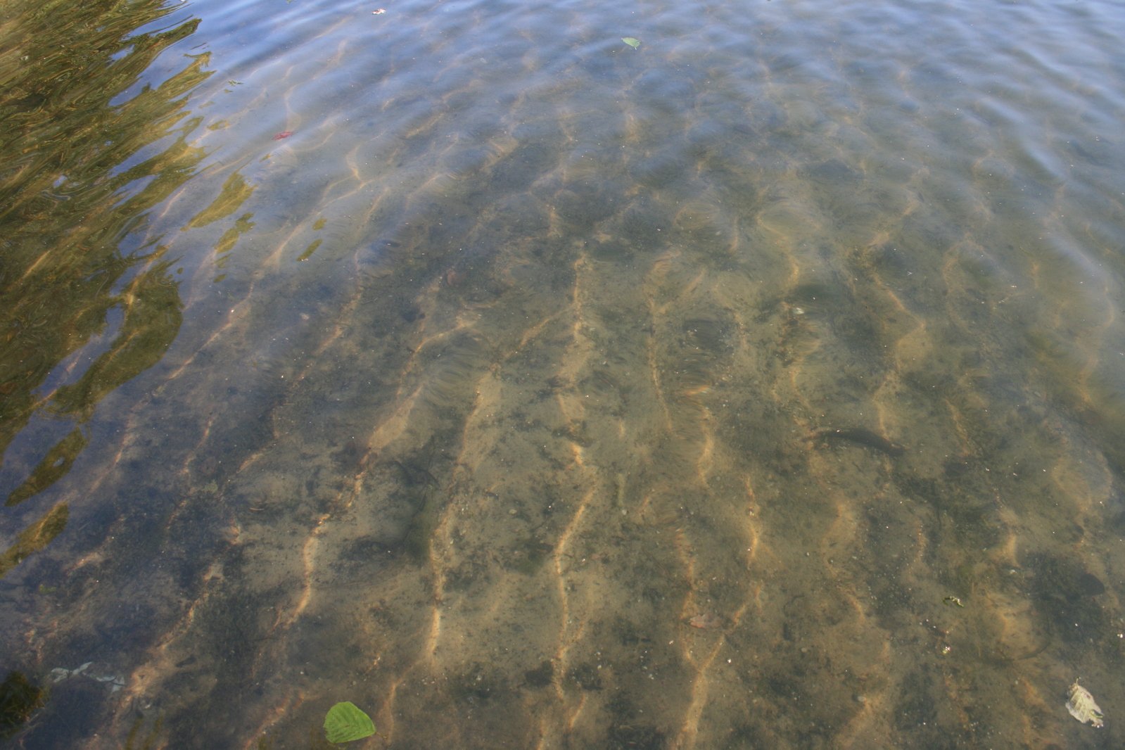 the water in a lake with shallow patches of sand and debris