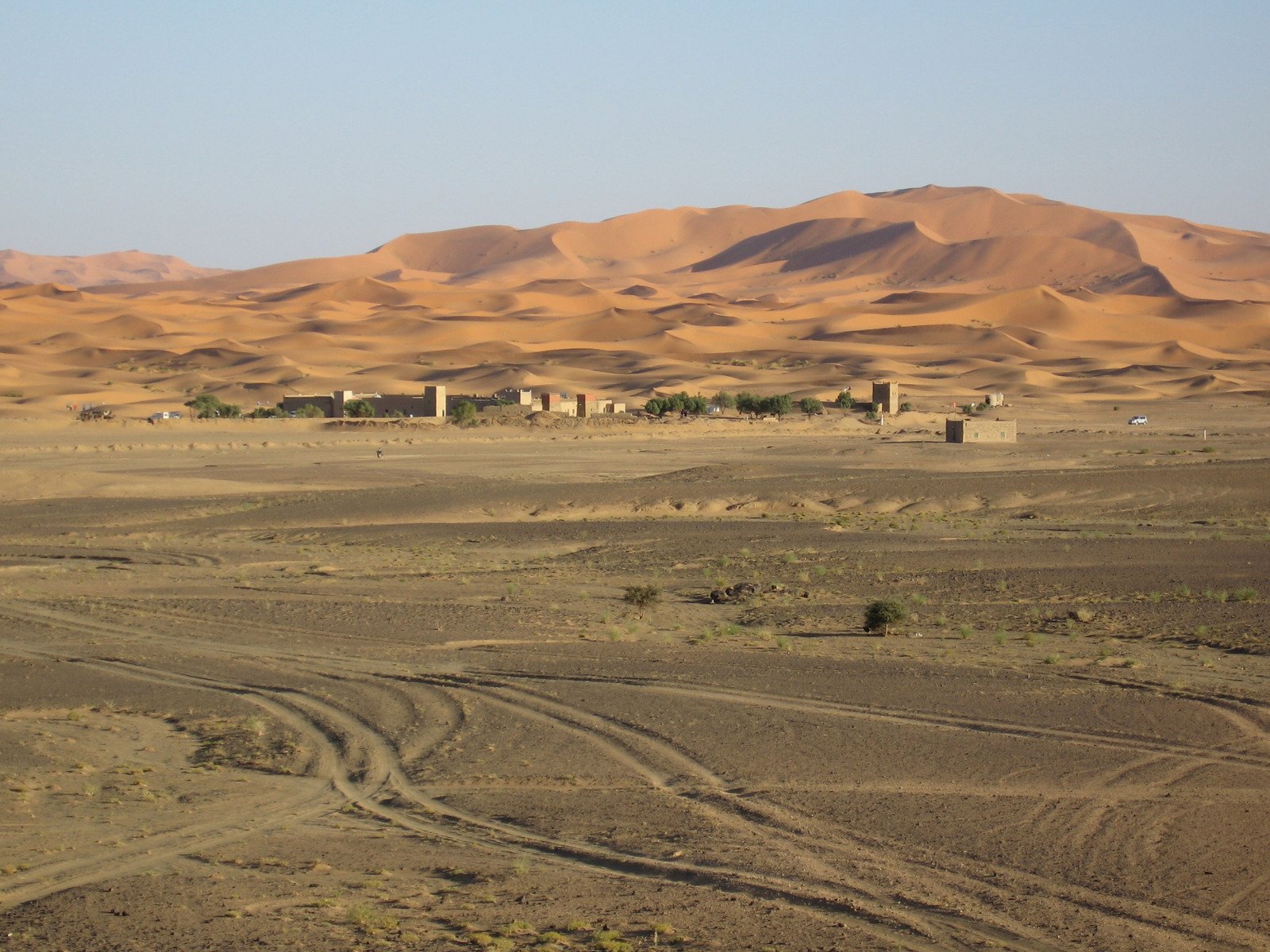 a field with sand dunes in the background