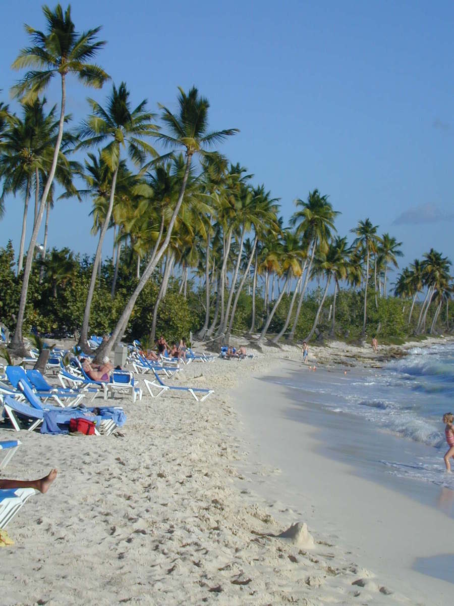 many chairs are lined up on a beach