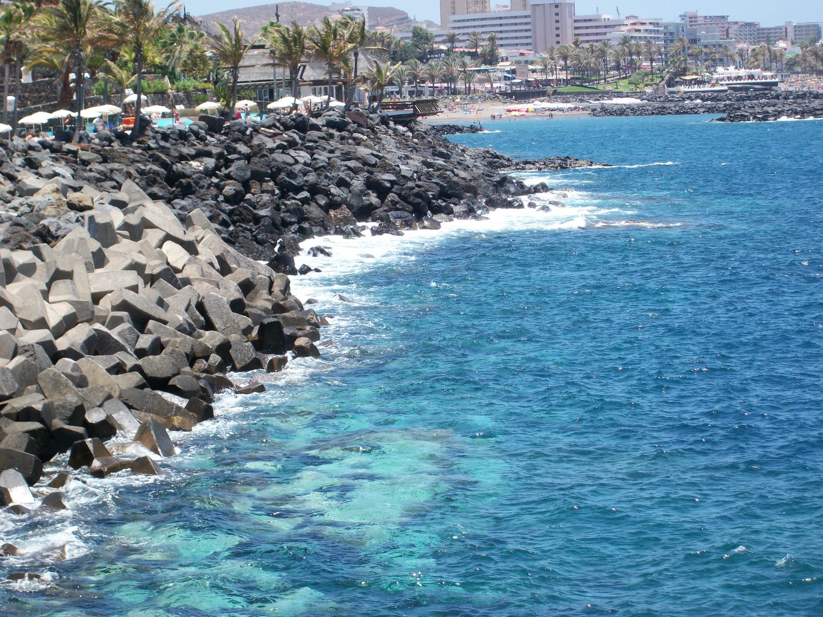 water on the shore near a city with a palm tree lined beach