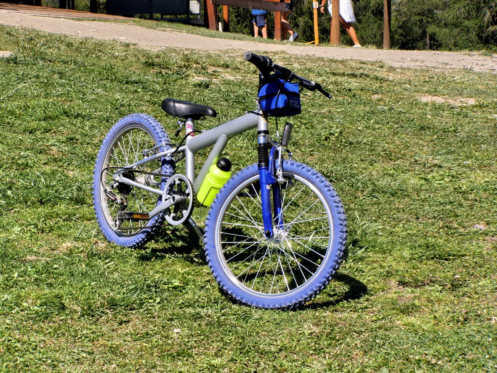 a bicycle with a blue rim leaning against it's frame, on green grass