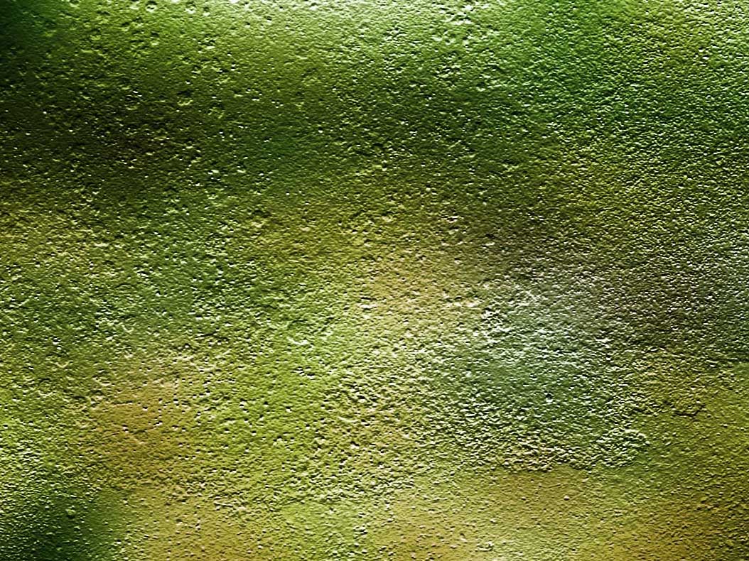 abstract background of green color of rain and sun, light reflection from the glass