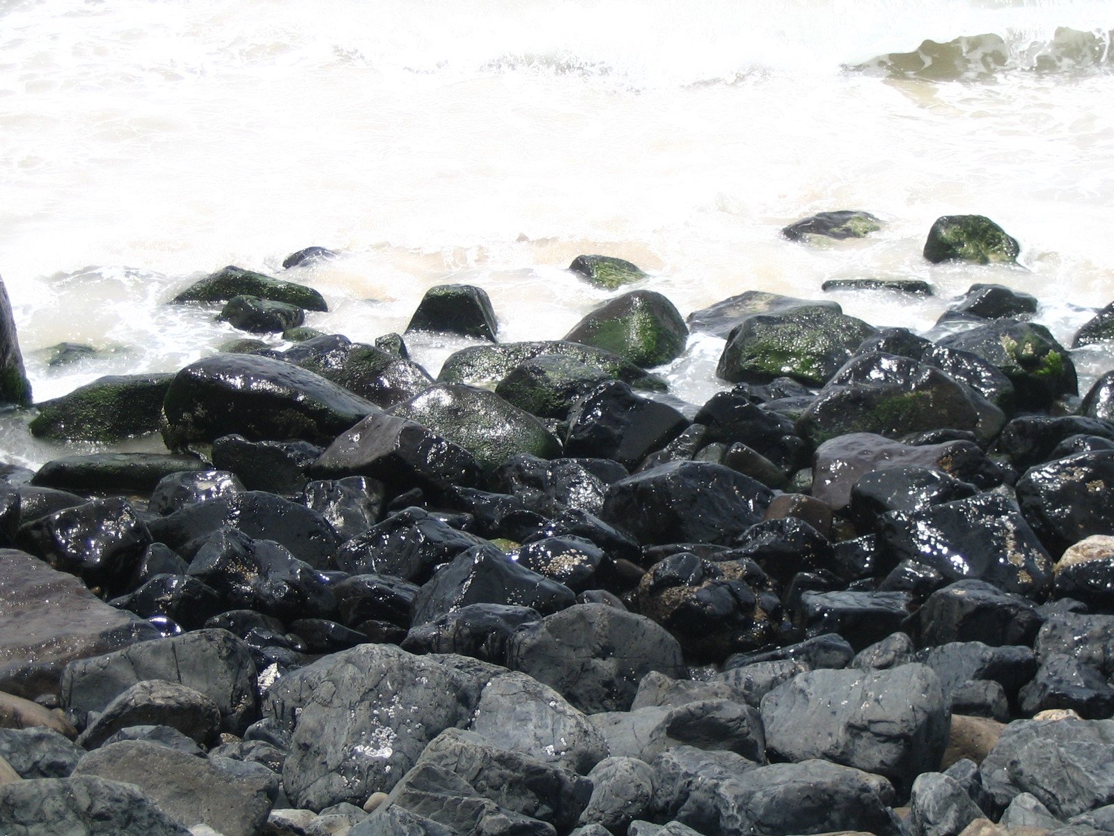 black rocks near a body of water and the shore