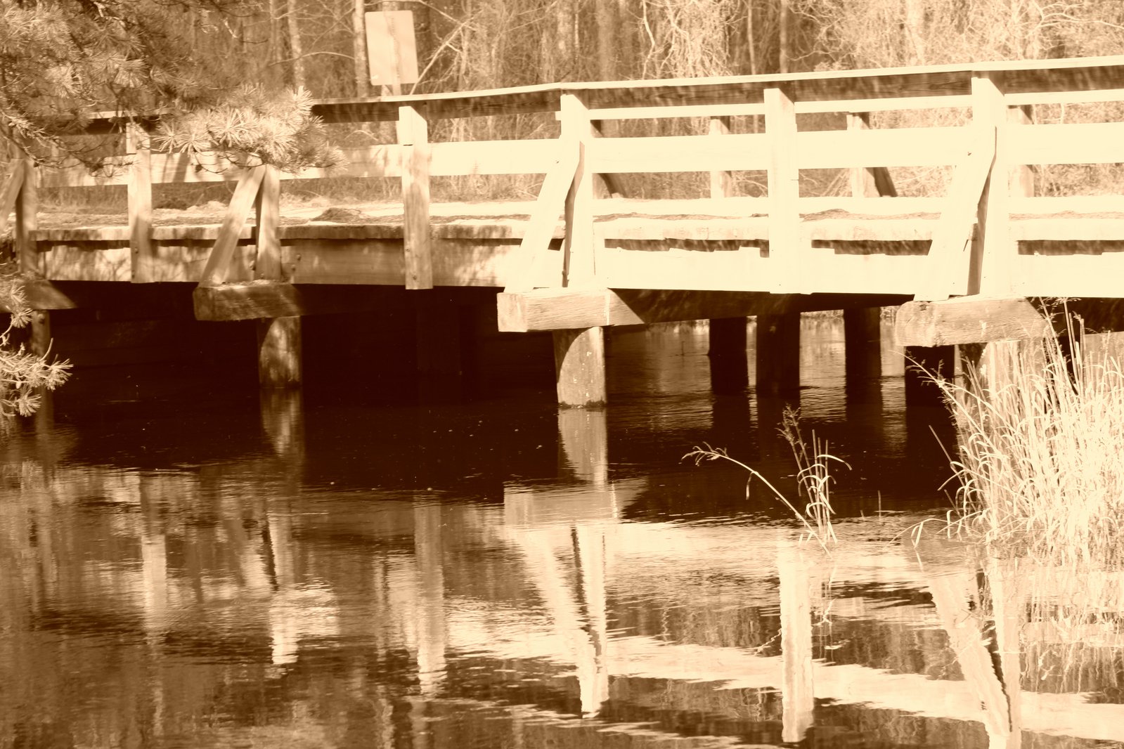 the bridge over the river has an unusual design