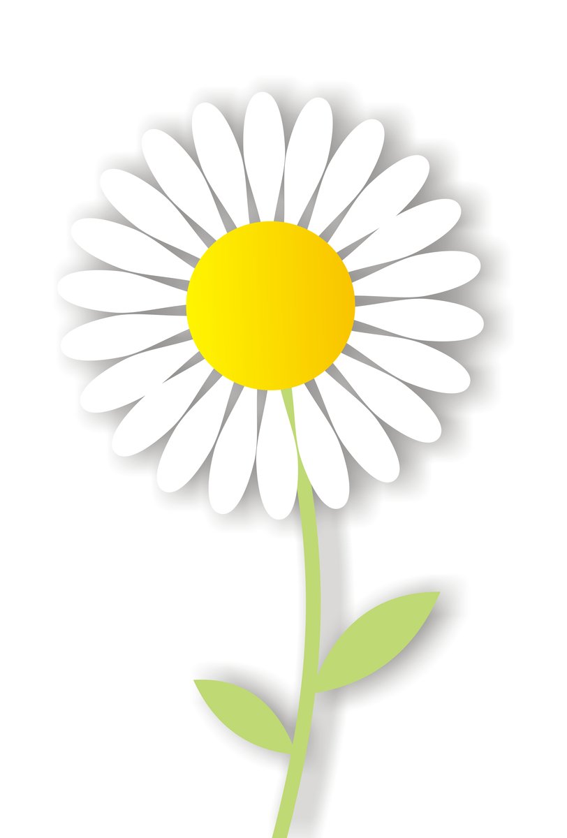 the symbol of a flower on a white background