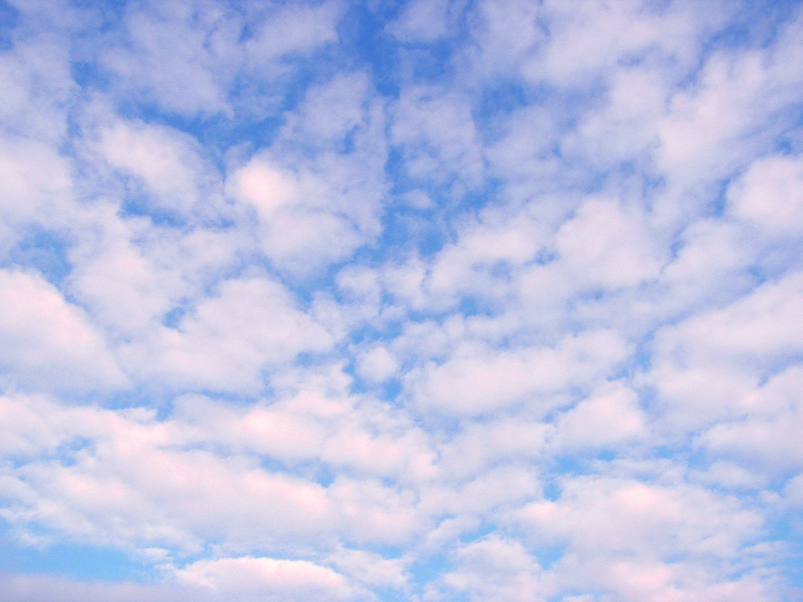 some people sitting on a field and a kite flying in the sky