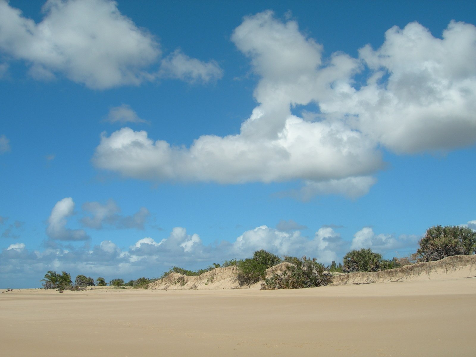 the clouds are gathering high above the sand