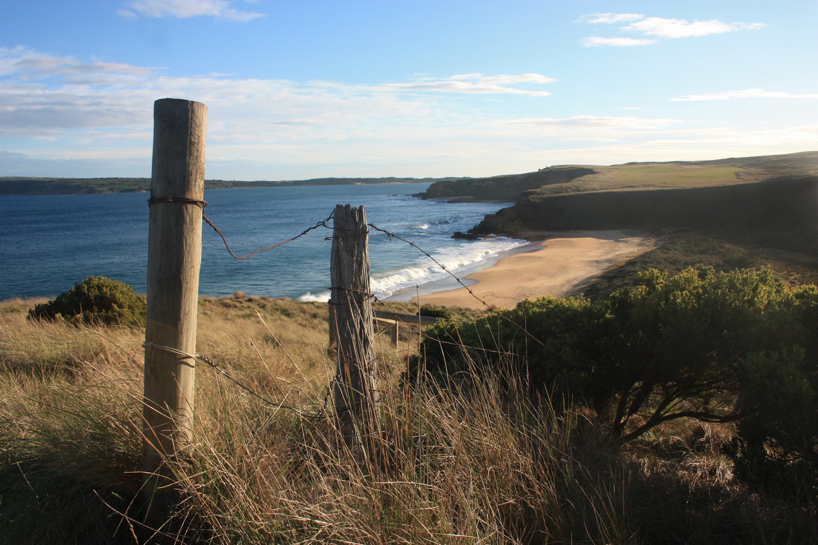 a view of a beach and a body of water from atop a hill