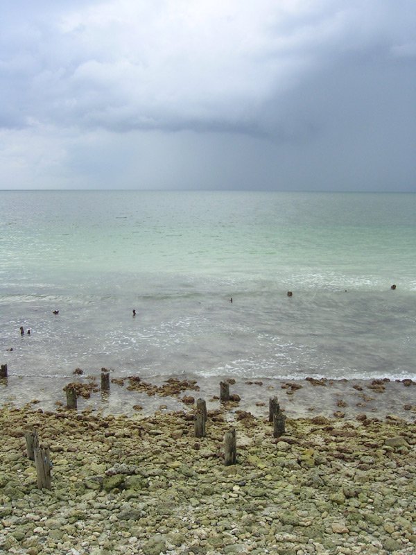 people on the beach with no waves