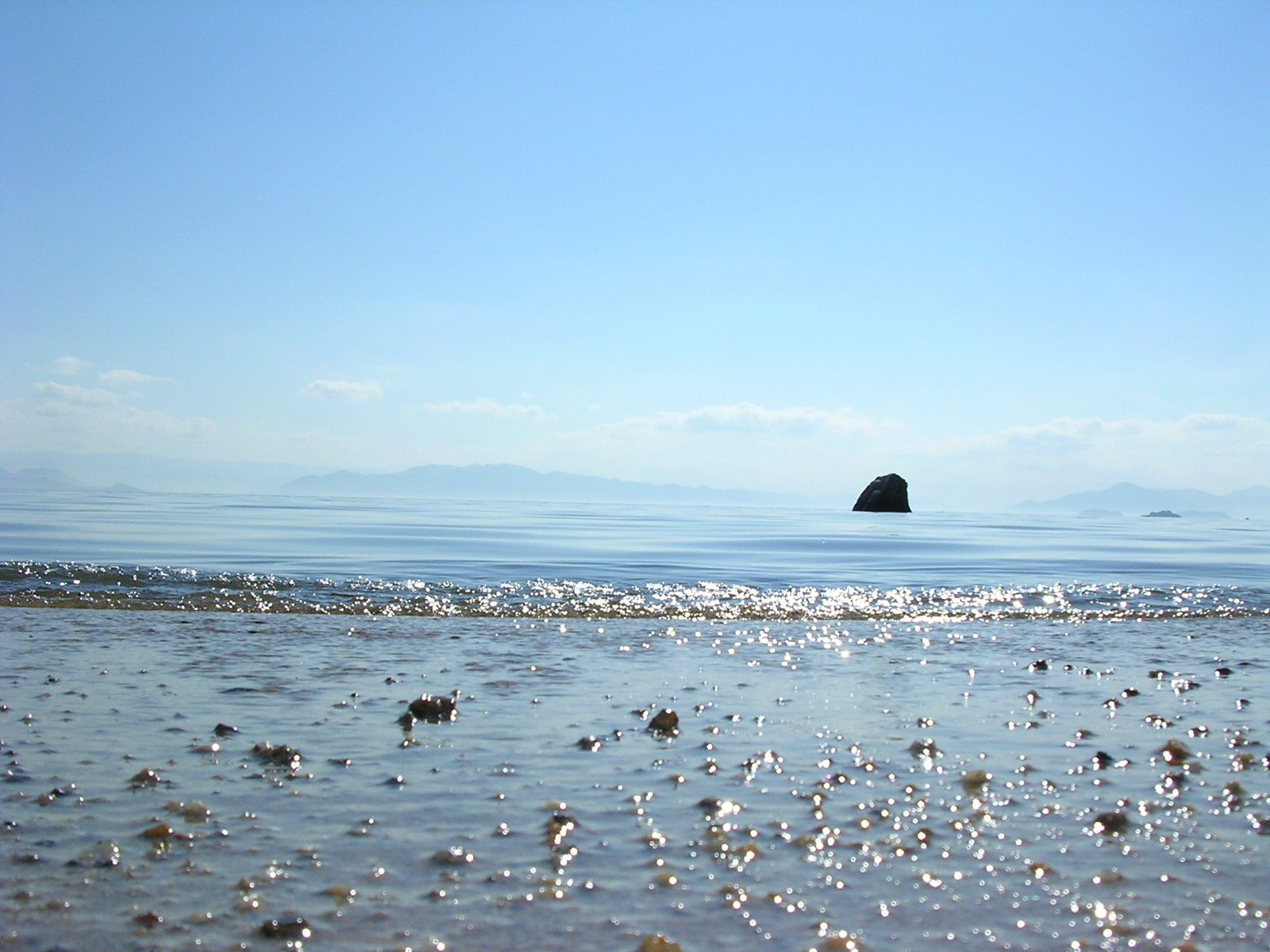 a beach with a black object in the water