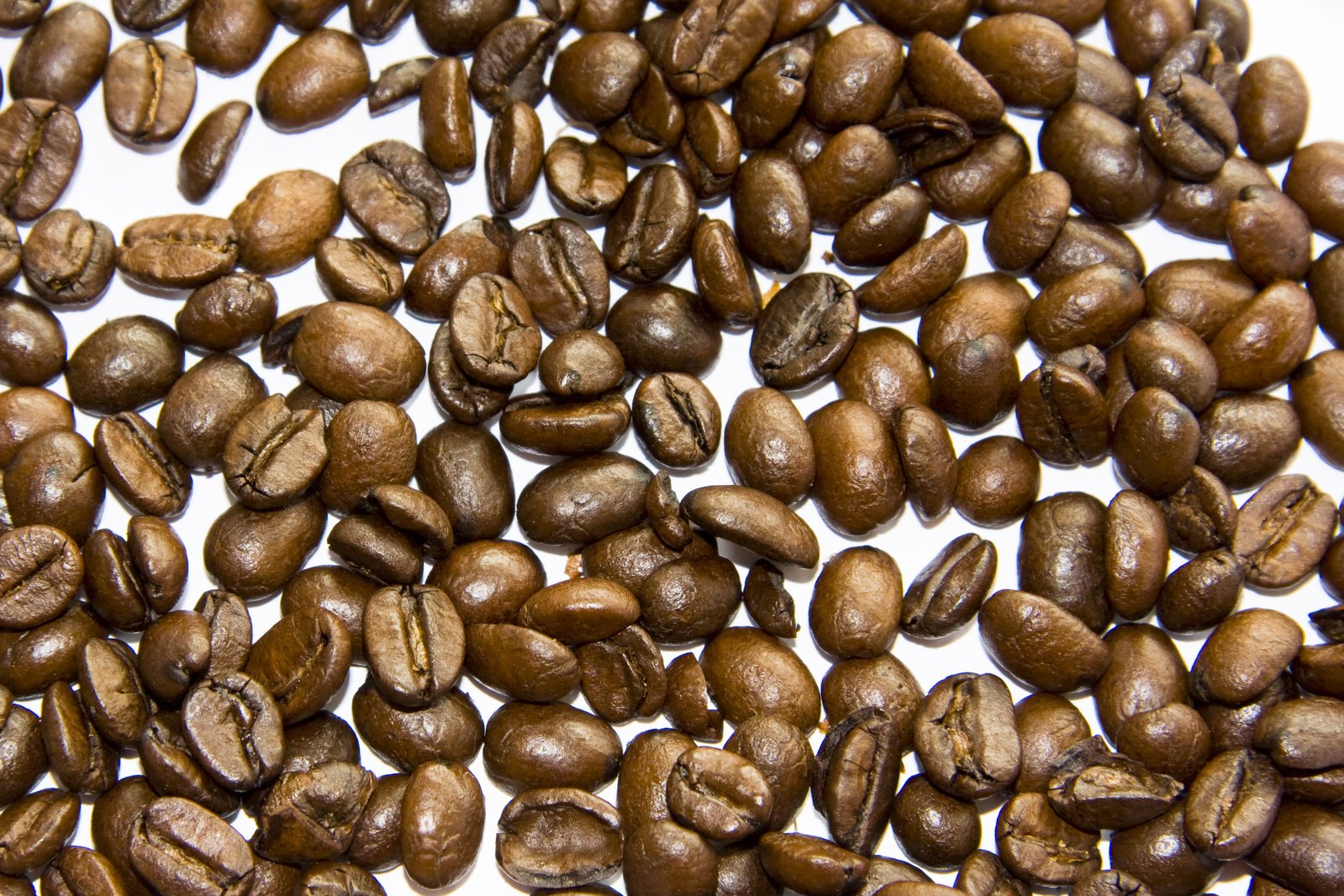 several different kinds of coffee beans are spilled over