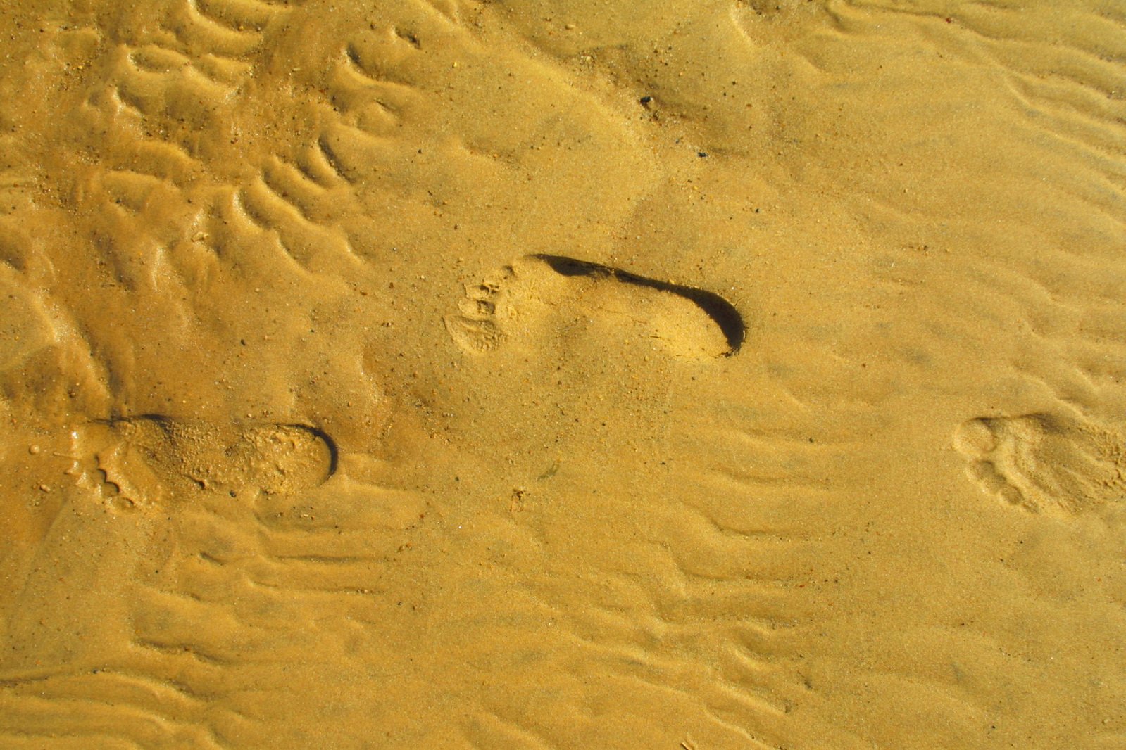 sand covered with footprints and footprints in the sand
