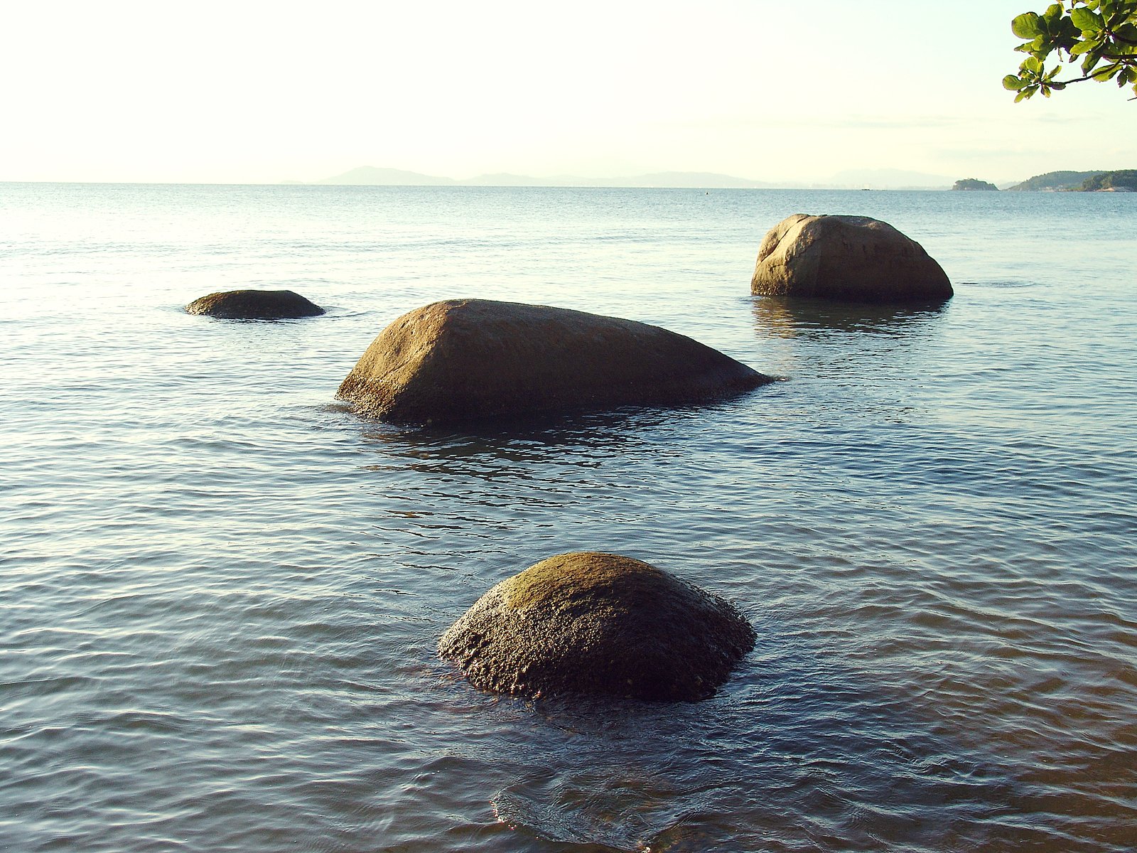 the view of a number of rocks in the water