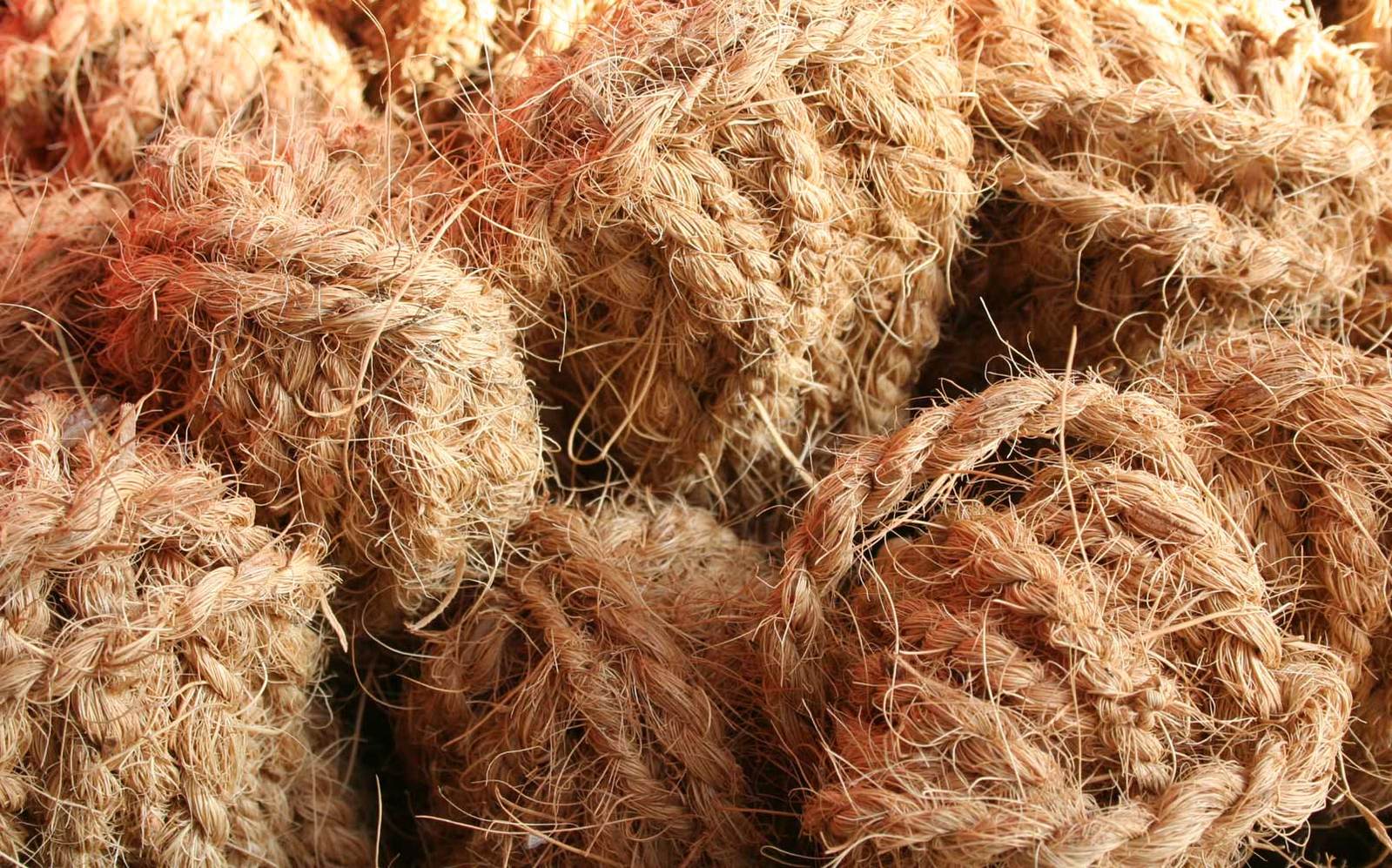 some hay is piled up close to the camera