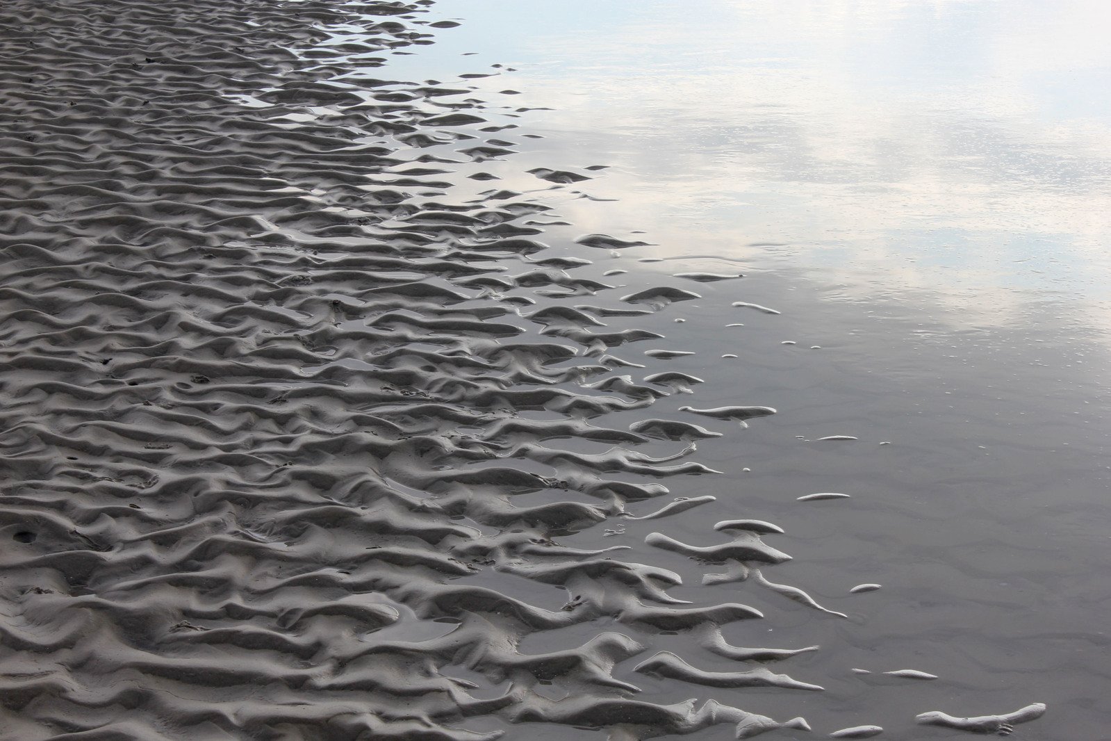 patterns on a wet beach by a body of water