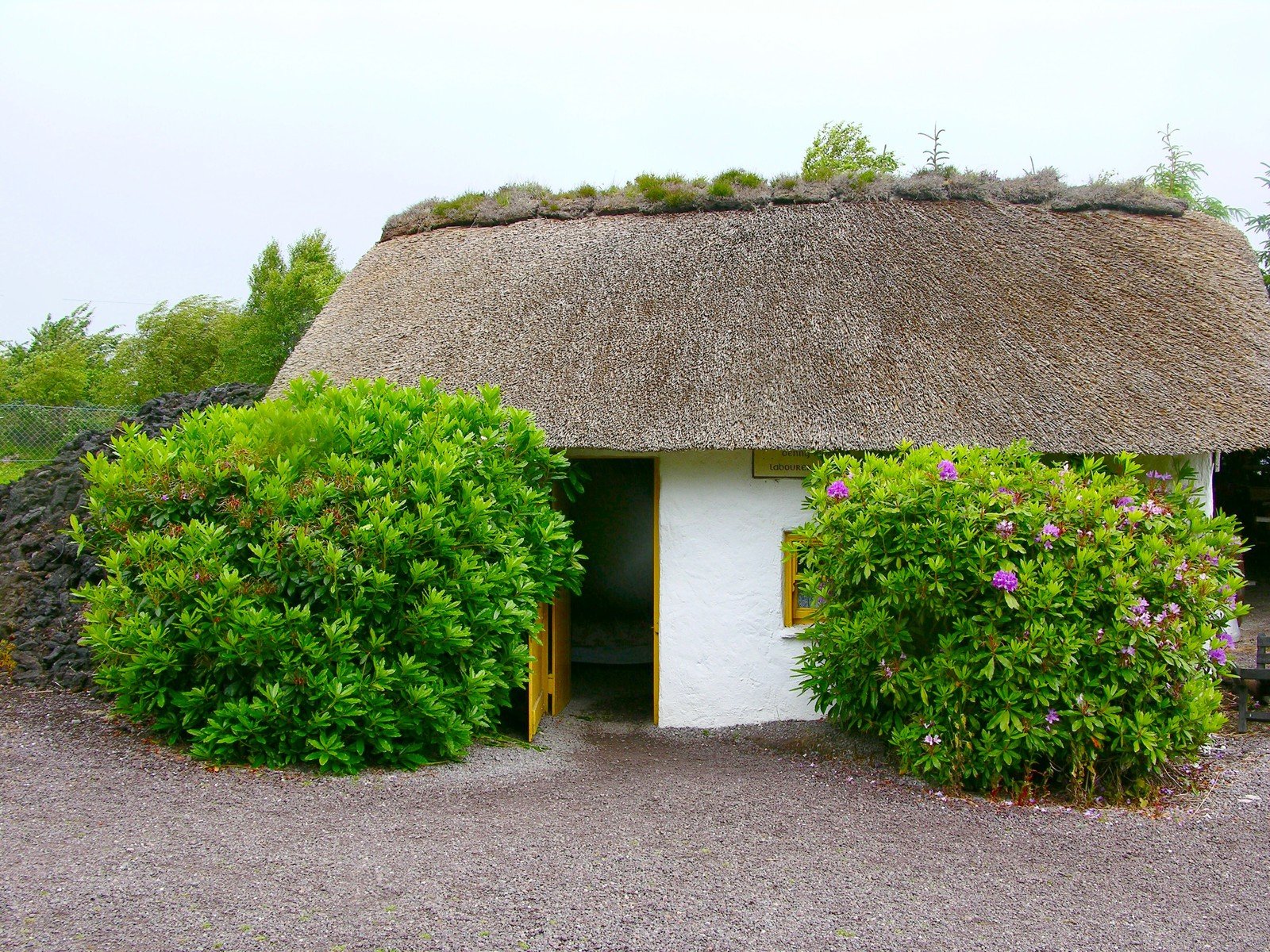 the house has two thatched roofs with yellow doors