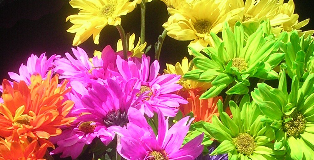 colorful bouquets in bright glass vases next to each other