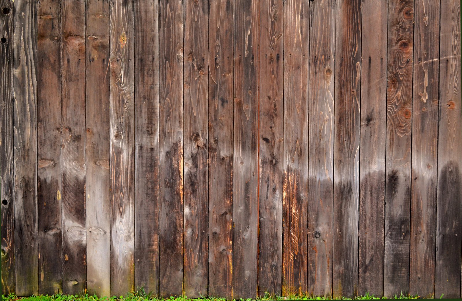 a sheep laying in front of a wooden wall