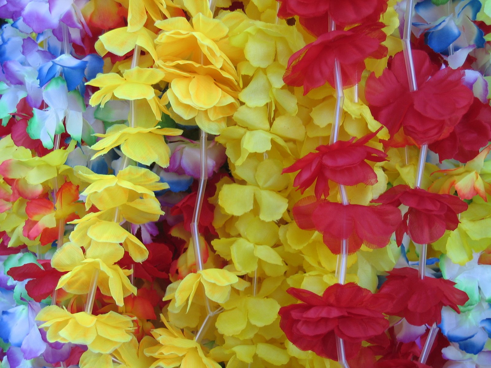 colorful hawaiian leis are hanging in the room