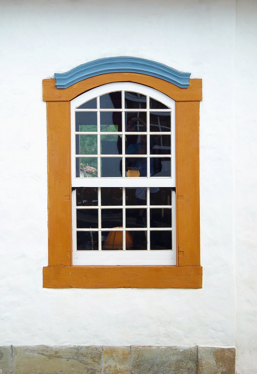 a dog is standing outside the window of a house