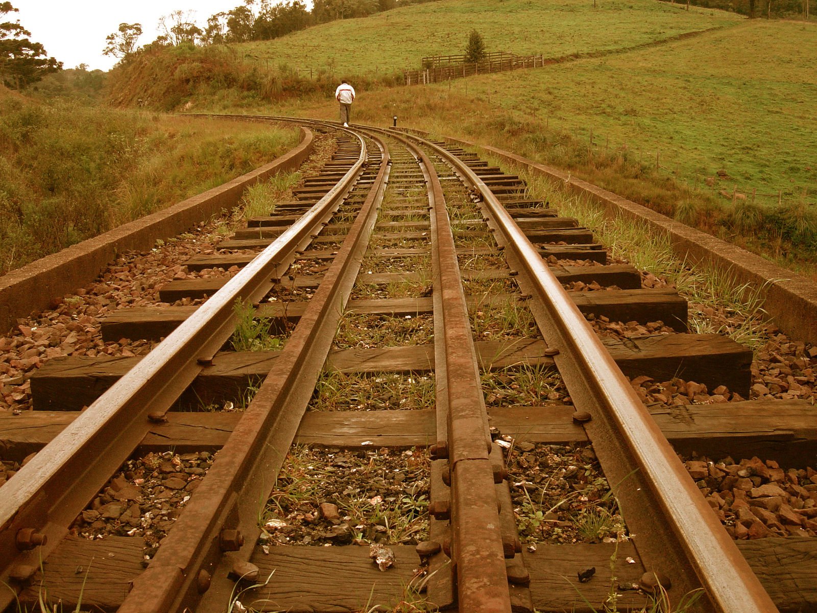 two sets of tracks in an open area of land