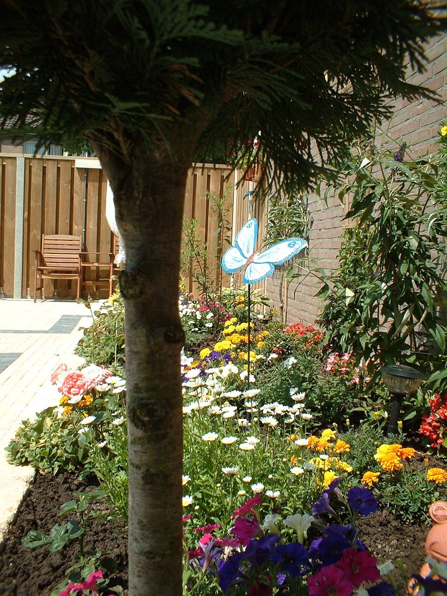 a garden area with flowers and plants in the grass