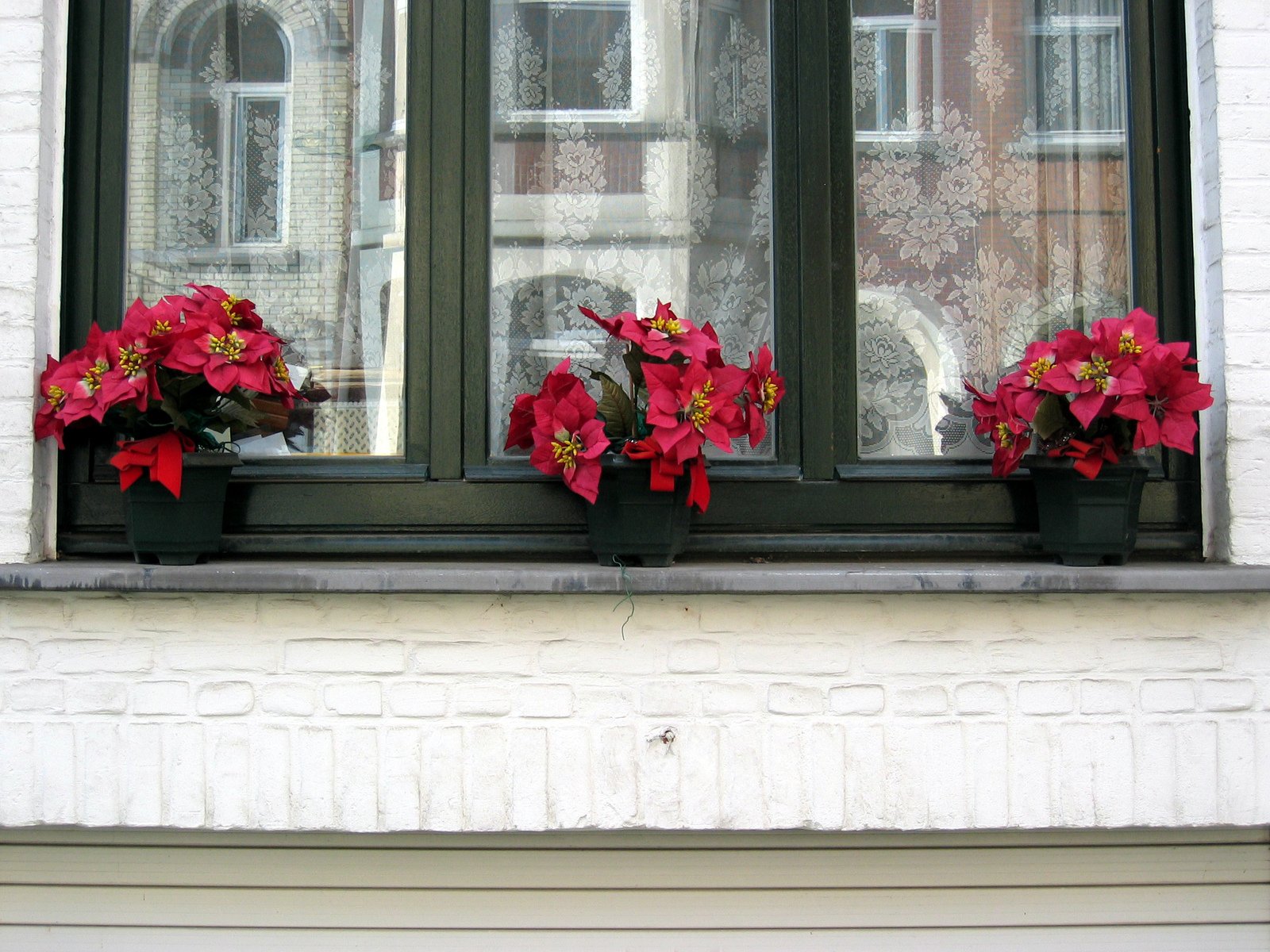 a couple of flower pots are near a window