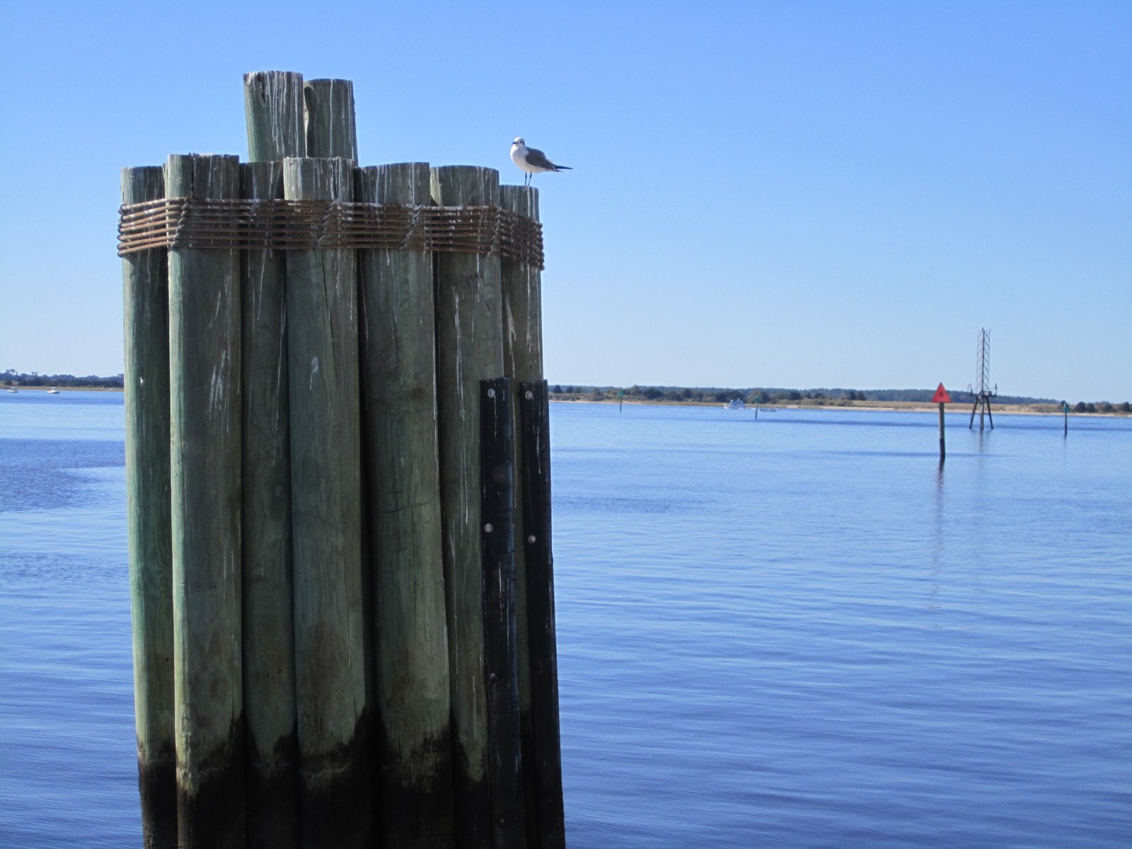 a pier near a body of water with a small bird sitting on top