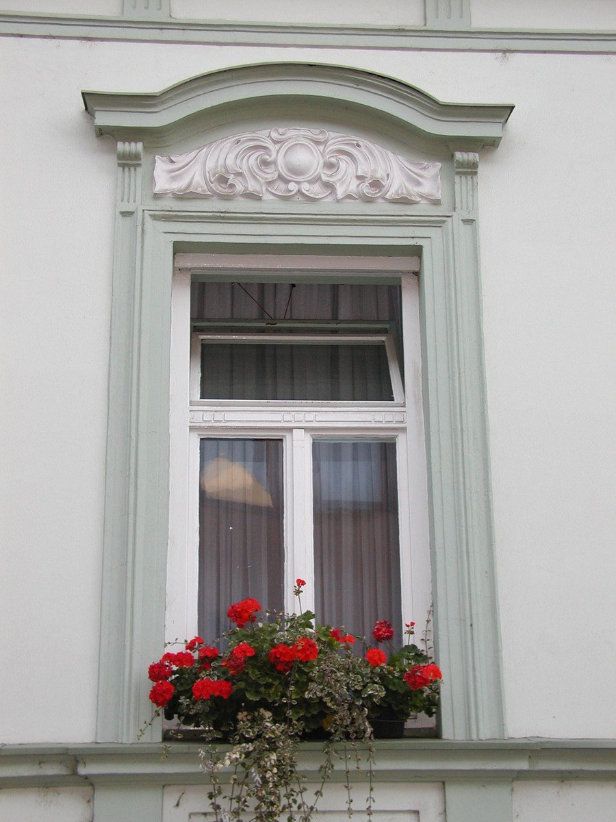 a window box filled with flowers in front of a building